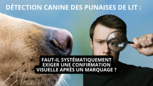 Détection canine des punaises de lit : faut-il systématiquement exiger une confirmation visuelle après un marquage ?